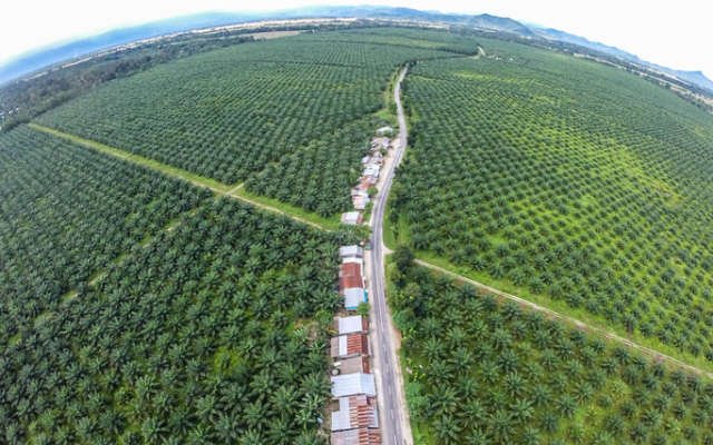 Leaf Resources executes MoU with Biovision & Greenergy to secure essential feedstock