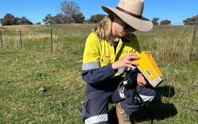 Legacy Minerals uses AI to uncover nickel-copper sulphide and PGE at Fontenoy