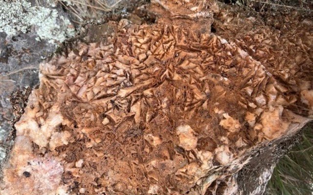 Legacy Minerals identifies copper-gold anomalies in first-pass sampling at Rockley project