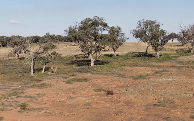 Legacy Minerals’ IPO will finance two-years of drilling across highly prospective Lachlan Fold Belt