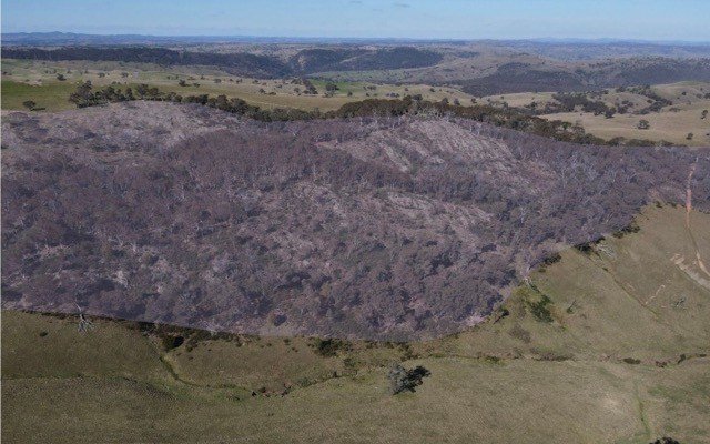 Legacy Minerals starts exploration at newly-pegged Black Range epithermal gold project