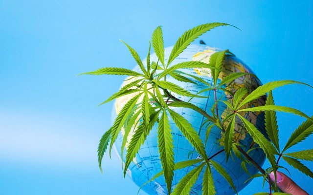 Lifespot Health appoints Canadian advisor to take medical cannabis technology to the world stage