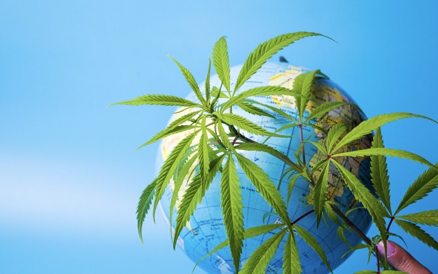 Lifespot Health appoints Canadian advisor to take medical cannabis technology to the world stage