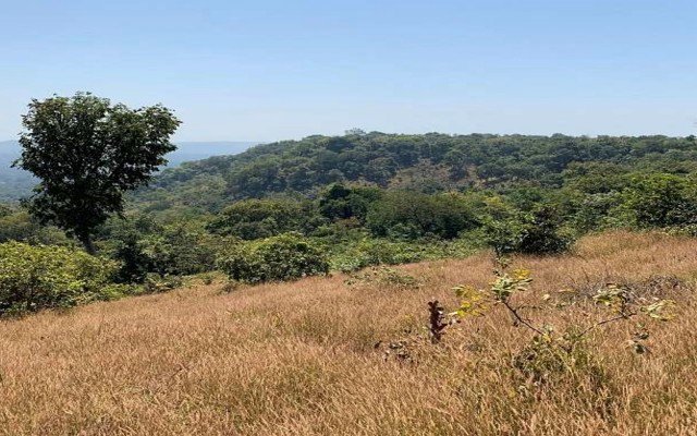 Lindian Resources confirms ‘stunning’ alumina grades at Gaoual bauxite project