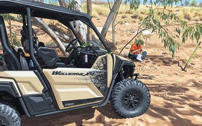 Litchfield Minerals Set for Extensive RC Drilling Campaign at Oonagalabi Project