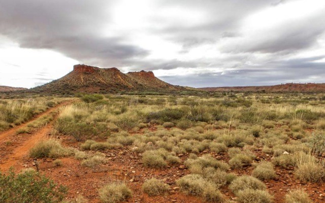 Lithium anomalies identified at Marindi’s Forrestania project