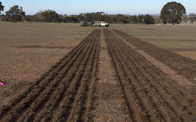 Lithium Australia begins field trials evaluating fertilisers blended with spent battery minerals