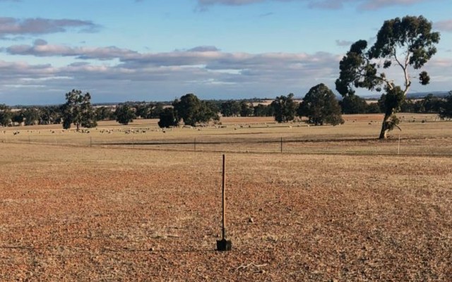 Lithium Australia looks to boost crop fertilisers via recycled batteries