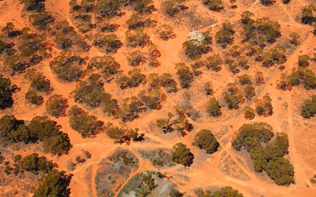 Lithium Australia debuts ‘significant’ vanadium resource at Youanmi