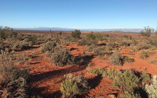 Lithium Australia to sell Emu Creek non-lithium rights to ASX hopeful Metal Hawk