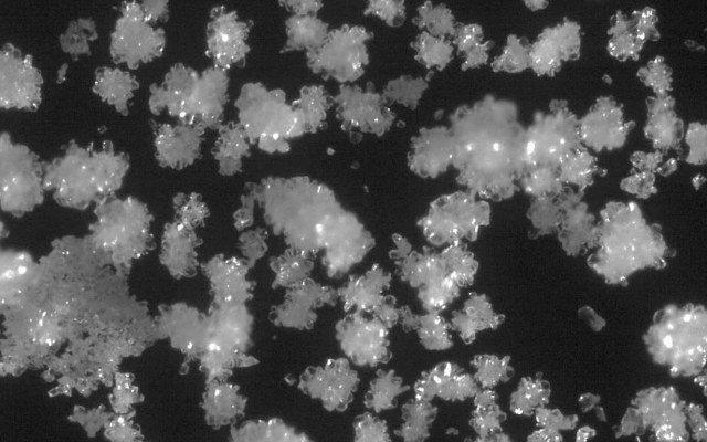 Lithium Power generates maiden 99.4% lithium carbonate sample from Maricunga