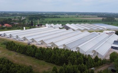 Little Green Pharma accelerates medicinal cannabis growth plans with purchase of Danish manufacturing facility