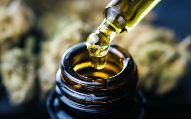 Little Green Pharma secures deal to distribute medicinal cannabis products in Poland