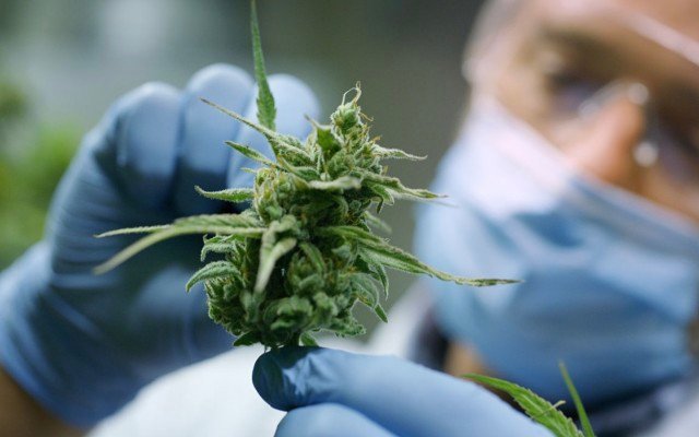 Little Green Pharma signs three-year agreement with DEMECAN to supply cannabis products