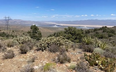 Locksley Resources strengthens US team with experienced executive appointed to lead Mojave REE project