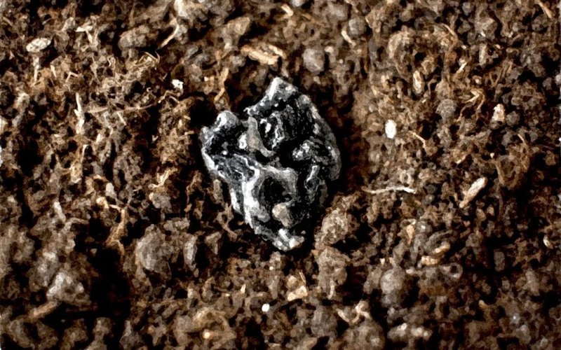 Magnum Mining Pursues Fast-Tracked Permitting for Nevada Critical Minerals Hub