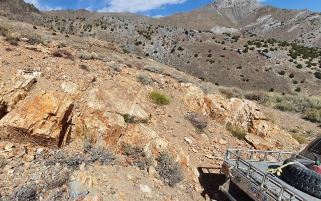 Maiden drilling by PolarX in Nevada hits bonanza gold intercept