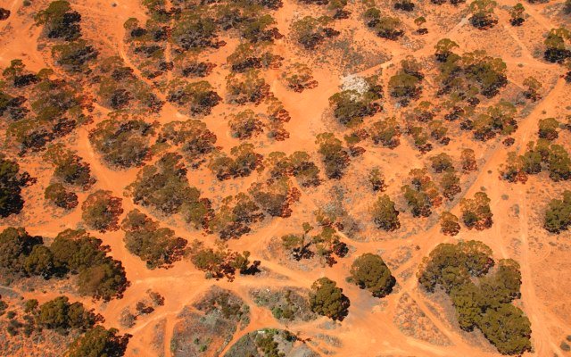 Mandrake Resources signs exploration farm-in deal for Jimperding nickel-copper-PGE project