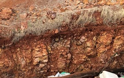 Mandrake Resources returns high palladium, platinum figures near Julimar discovery