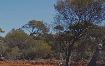 Marquee Resources to acquire West Spargoville project to capitalise on gold price increase