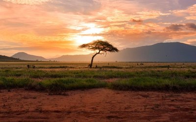 Marvel Gold boosts interest in Tabakorole gold project to 70% as drilling continues