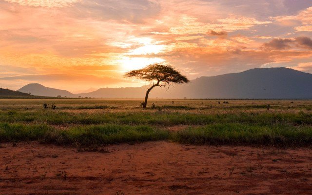 Marvel Gold grows Tabakorole potential with soil sampling results, graphite spin-out progresses