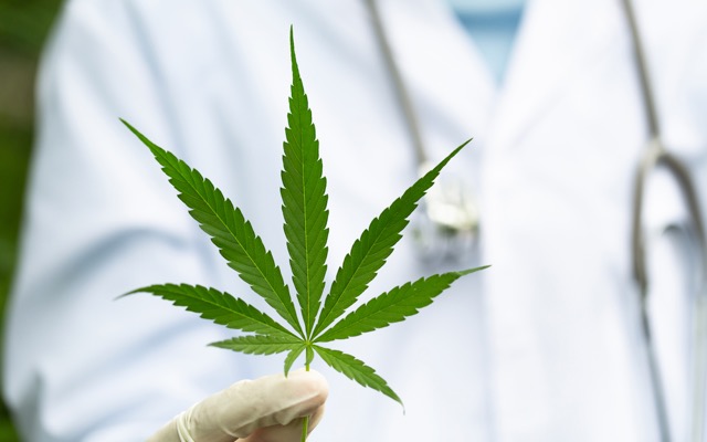 MediPharm deal brings Wellnex Life closer to offering over-the-counter medical cannabis