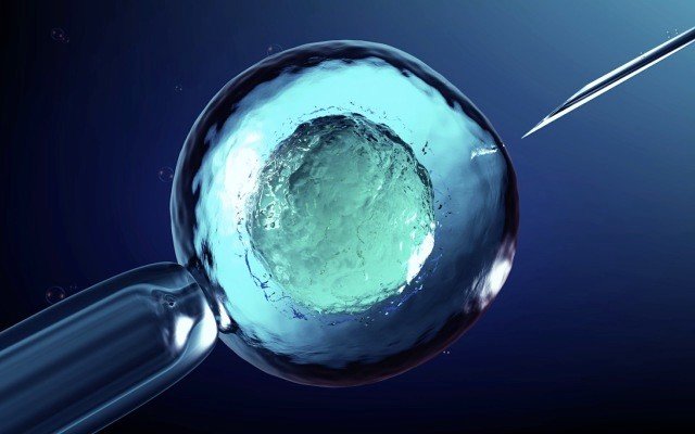 Memphasys partners with Swedish IVF clinic ahead of Felix commercialisation