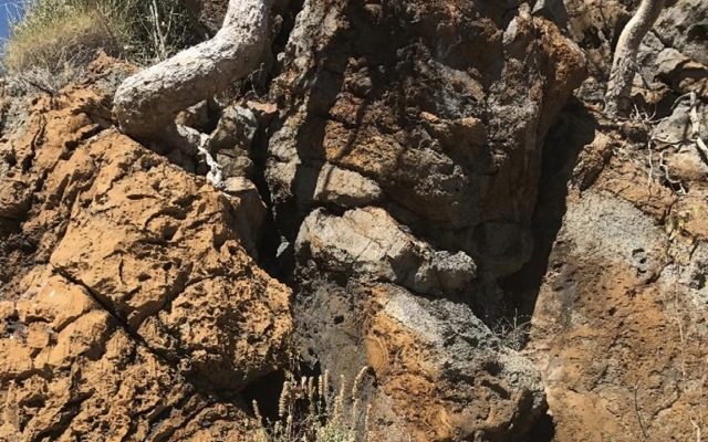 Metalicity begins ‘aggressive’ drilling campaign at recently acquired Napier Range zinc project