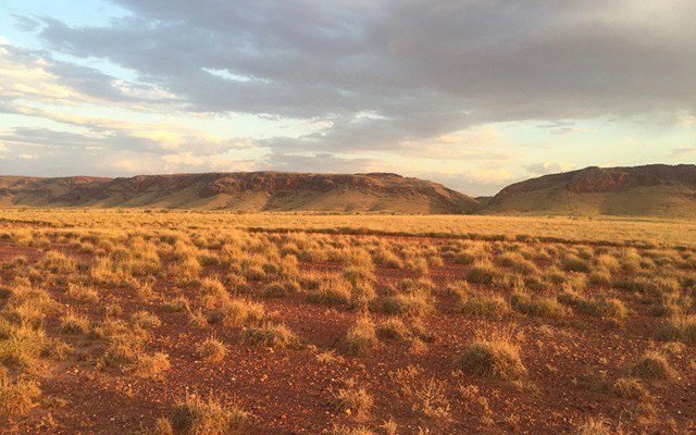 Metalicity makes a play for copper ground in Paterson Province