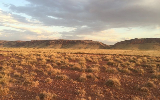 Metalicity makes a play for copper ground in Paterson Province