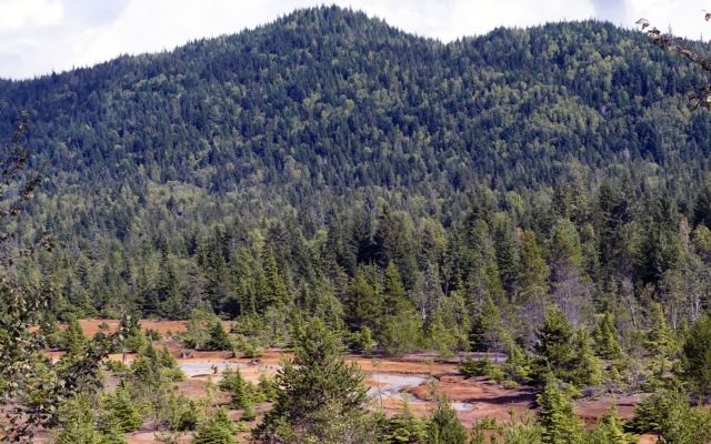 Meteoric Resources fires into cobalt exploration at Canadian projects