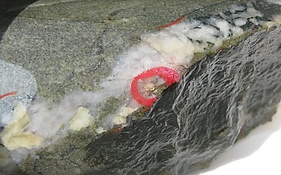 Meteoric Resources报道了Butchers Creek的厚而可见的金矿化