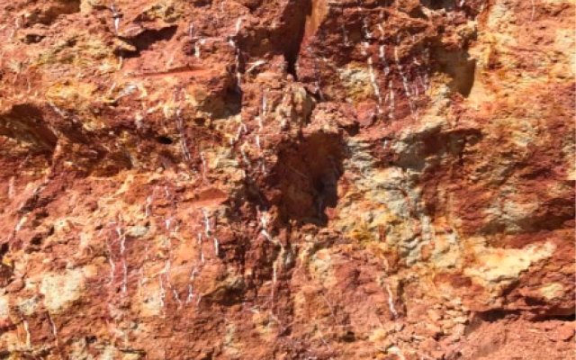 Meteoric Resources unearths 290.13g/t gold in rock chips at Novo Astro