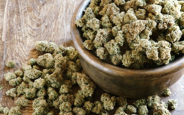 MGC Pharmaceuticals secures CBD extract supply agreement worth $1m