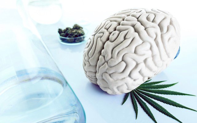 MGC Pharmaceuticals presents ‘ground-breaking’ research into effect of cannabis on brain cancer