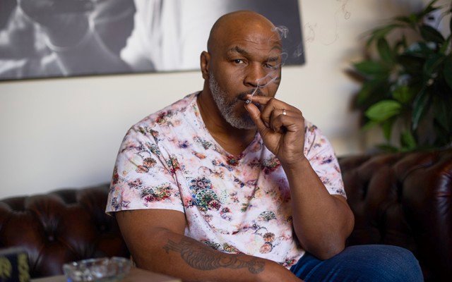 Mike Tyson pursues slice of cannabis industry with luxury 400-acre weed resort