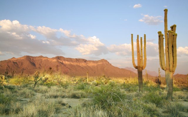 Mithril Resources to acquire Mexico’s high-grade Copalquin gold-silver project