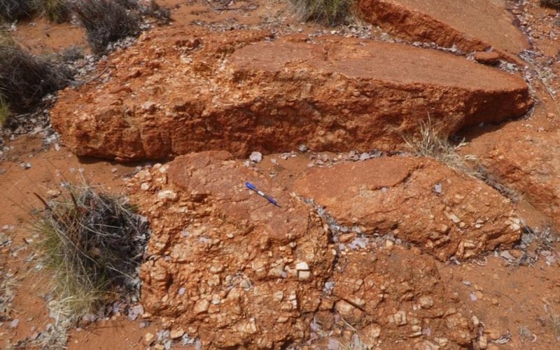 Mitre Mining scores lithium and rare earths finds in maiden soil program at Hillside