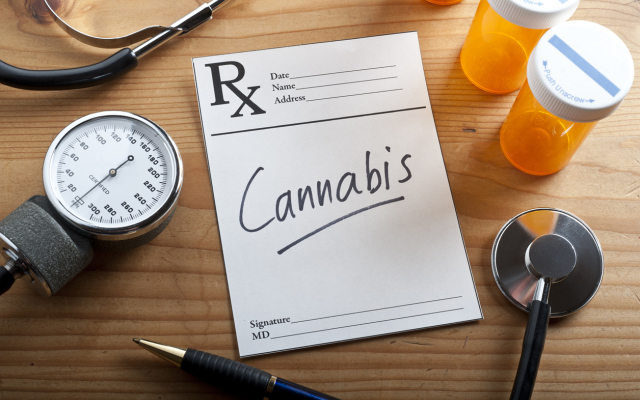 MMJ collars first Australian medical cannabis investment in start-up Martha Jane Medical