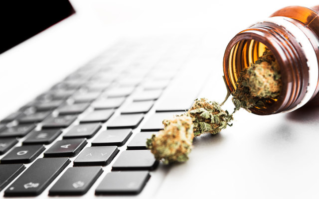 MMJ PhytoTech puts money into securing tomorrow’s medical cannabis customers