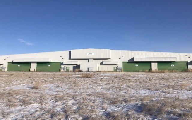 MMJ reports 250% planned cannabis flower production increase by 2019