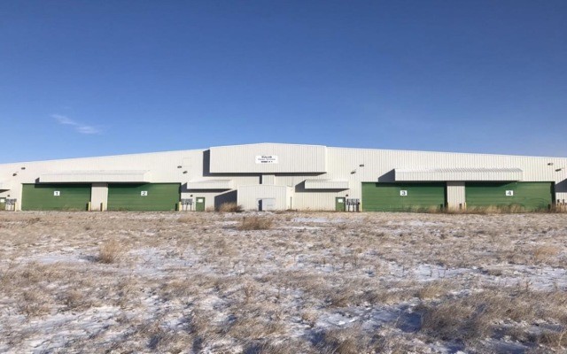 MMJ reports 250% planned cannabis flower production increase by 2019