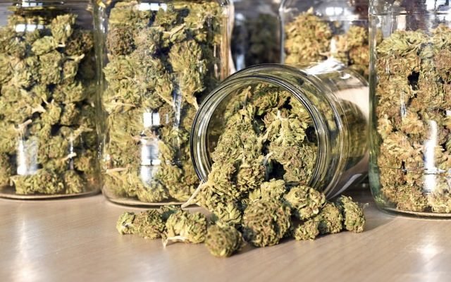 MMJ announces timely recreational cannabis deal through Harvest One in Canada