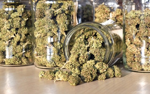 MMJ announces timely recreational cannabis deal through Harvest One in Canada