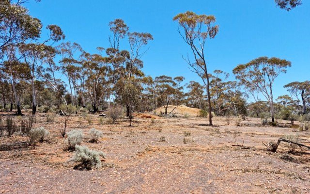 Monger Gold identifies copper-zinc in samples from Mt Monger South project