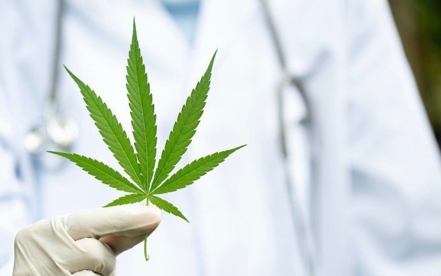 Montu raises funds to advance medical cannabis telehealth platform as revenue surges