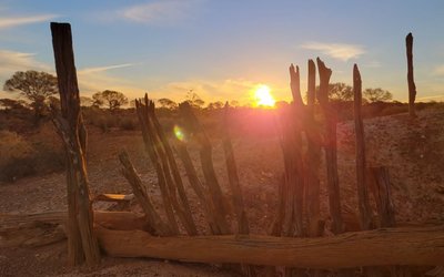 Mt Malcolm Mines enhances prospects at Golden Crown with robust gold recovery rates