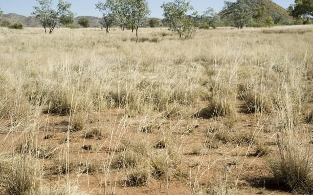 Mt Remarkable offers up high-grade gold for King River Copper, while Speewah vanadium study continues