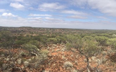 Mt Venn returns outstanding drill results for Great Boulder Resources